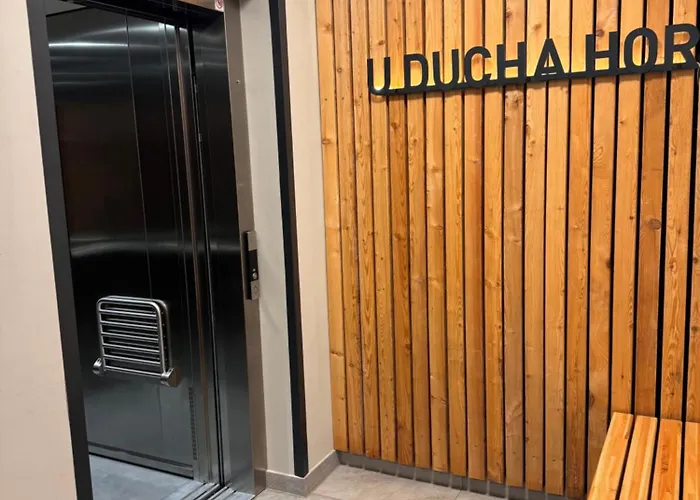 Luxusni Apartman Grand V Centru Harrachova Se Saunou, Wallboxem Ev, Parkovanim Zdarma, Netflix A Hbo, Velkym Balkonem A Vyhledem Na Certovu Horu ,Sjezdovku A Skokanske Mustky